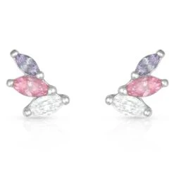 Flared Cluster Wing Earrings ER4462
