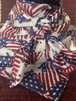 Austin Accents Patterned Americana Wild Rag / Silk Scarf 34″X34″