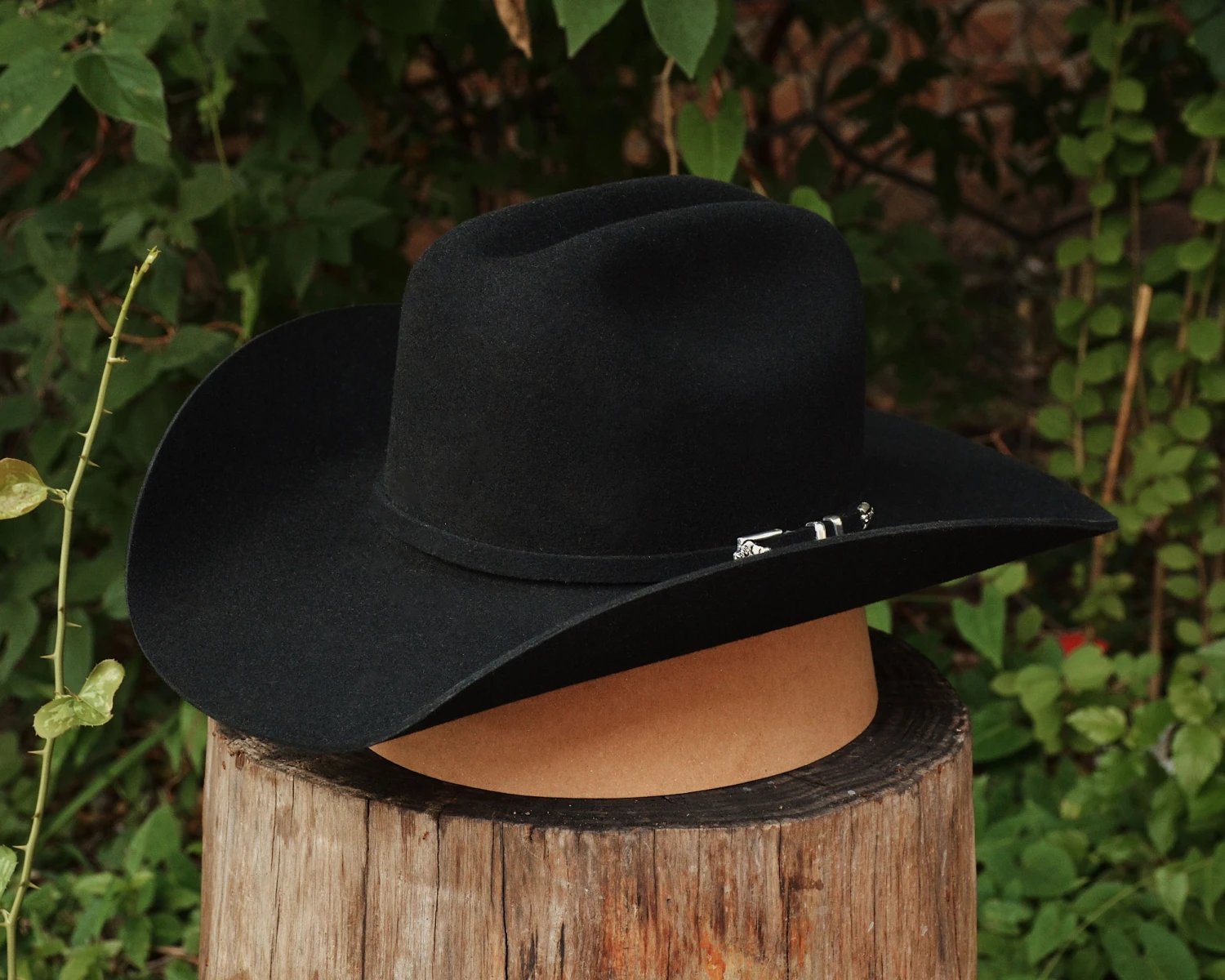 Stetson Buffalo Apache 3 Stetson Buffalo Apache